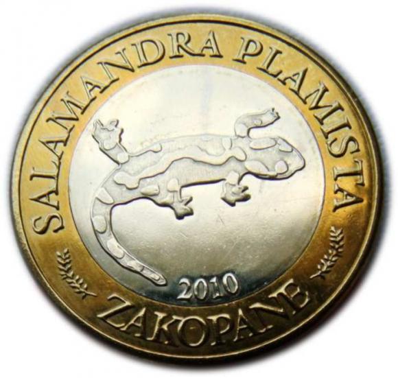 10 dutków 2010 Zakopane Salamandra Plamista (1)