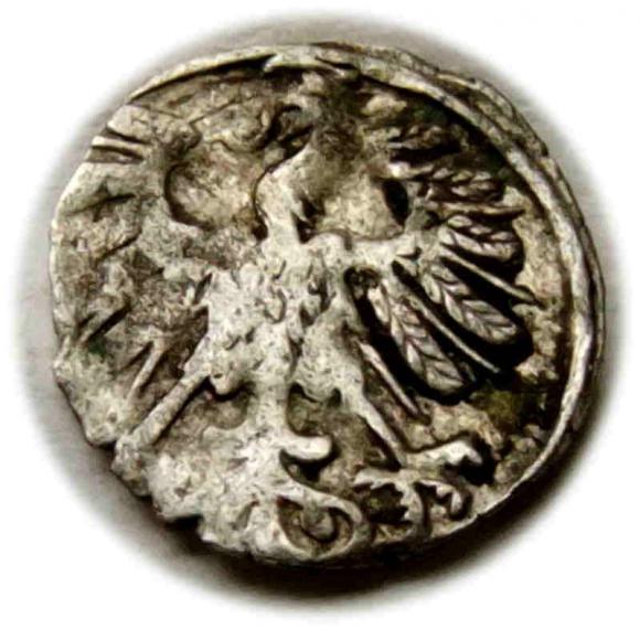 Denar 1558 Zygmunt II August Wilno (2)