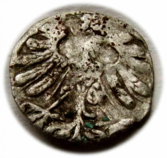 Denar 1558 Zygmunt II August Wilno (2)