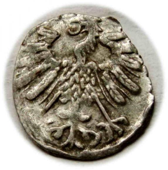 Denar 1558 Zygmunt II August Wilno (2)