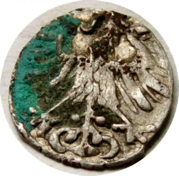 Denar 1557 Zygmunt II August Wilno (2)