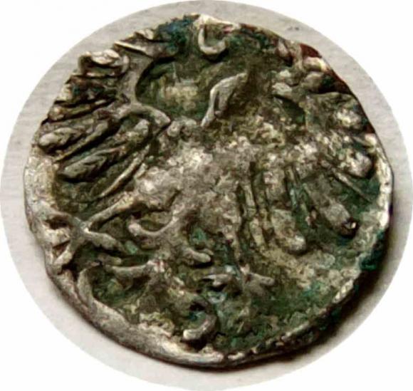 Denar 1557 Zygmunt II August Wilno (2)