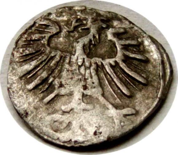 Denar 1557 Zygmunt II August Wilno (2)