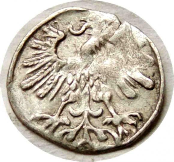 Denar 1559 Zygmunt II August Wilno (2)