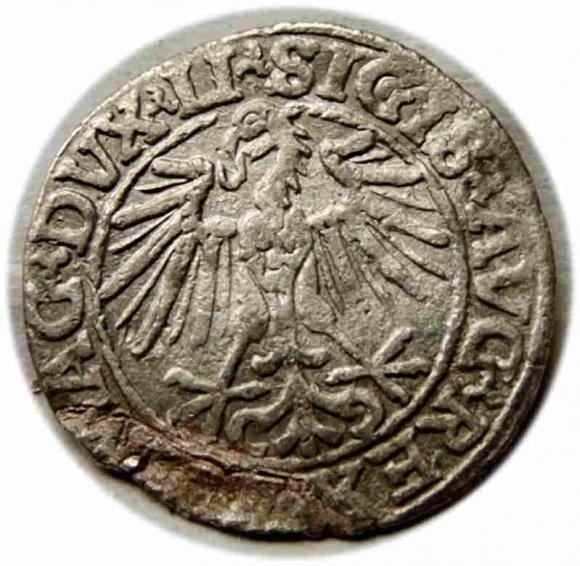 Half groschen 1548 Sigismund II Augustus Vilnius (2)