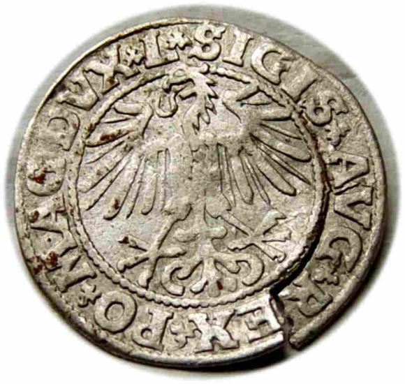 Half groschen 1549 Sigismund II Augustus Vilnius (2)