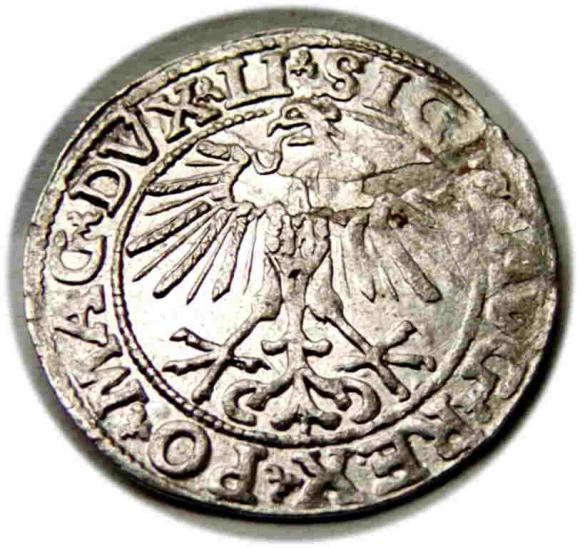 Półgrosz 1551 Zygmunt II August Wilno (2)