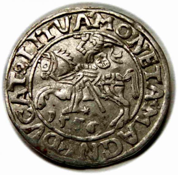 Półgrosz 1556 Zygmunt II August Wilno (1)