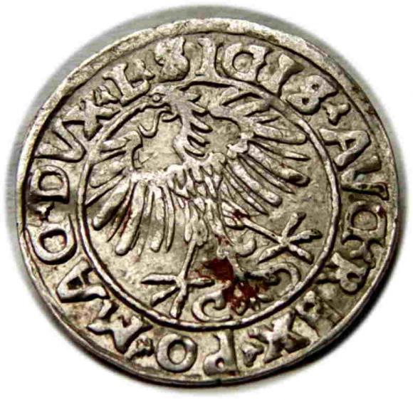 Półgrosz 1556 Zygmunt II August Wilno (2)