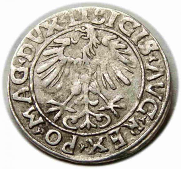 Półgrosz 1556 Zygmunt II August Wilno (2)