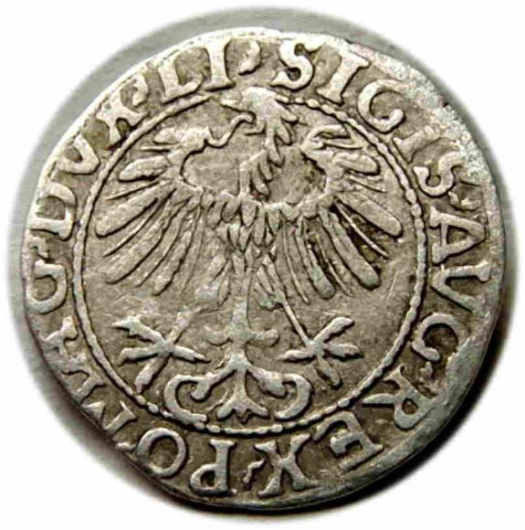 Półgrosz 1557 Zygmunt II August Wilno (2)