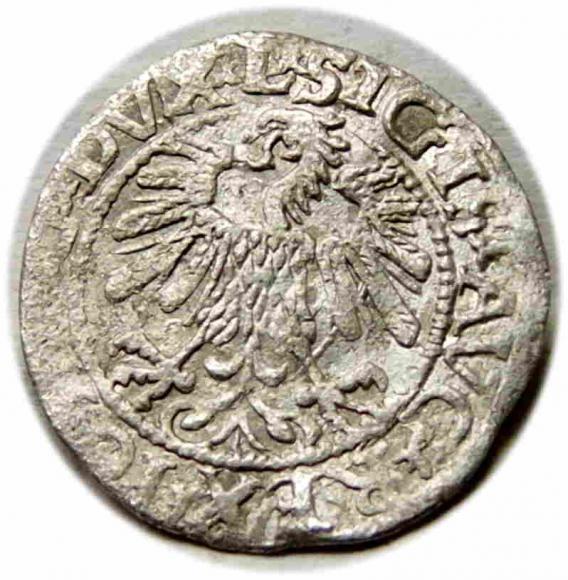 Half groschen 1559 Sigismund II Augustus Vilnius (2)