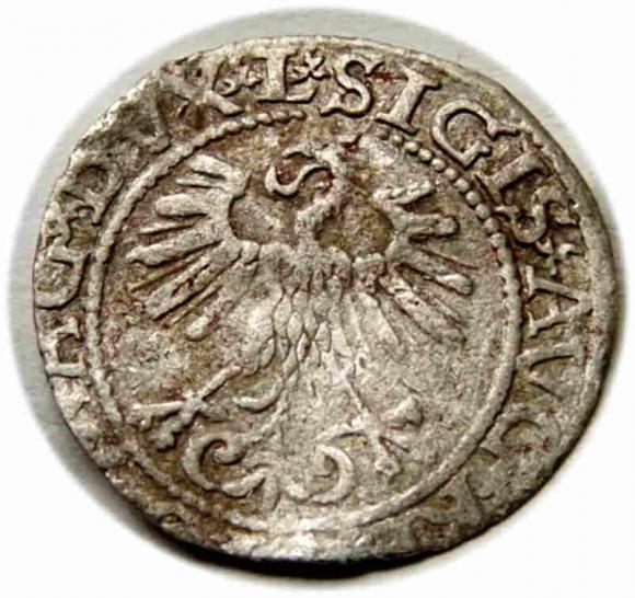 Półgrosz 1560 Zygmunt II August Wilno (2)