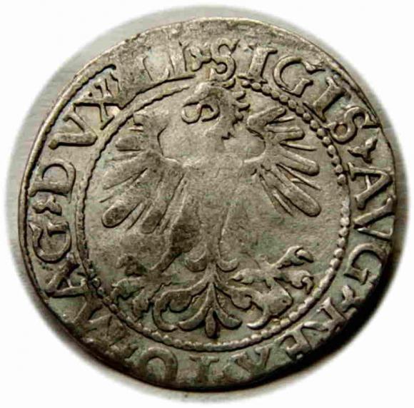 Half groschen 1560 Sigismund II Augustus Vilnius (2)