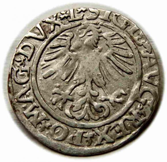 Półgrosz 1561 Zygmunt II August Wilno (2)