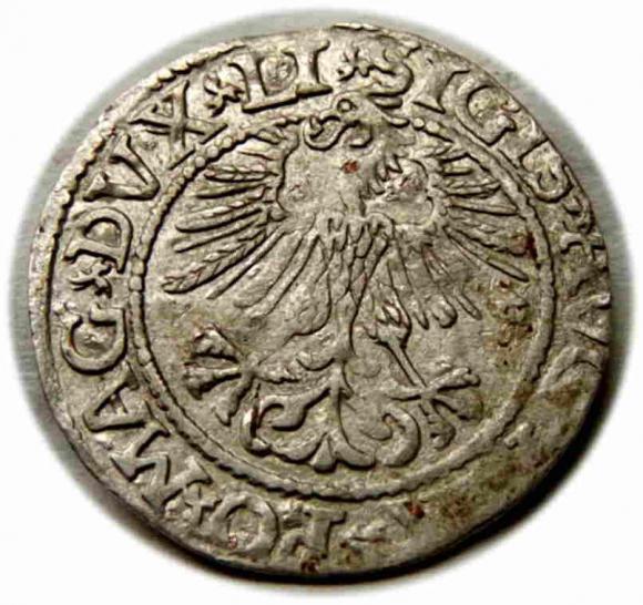 Półgrosz 1561 Zygmunt II August Wilno (2)