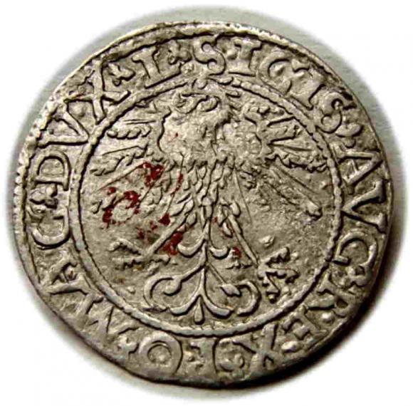 Półgrosz 1562 Zygmunt II August Wilno (2)