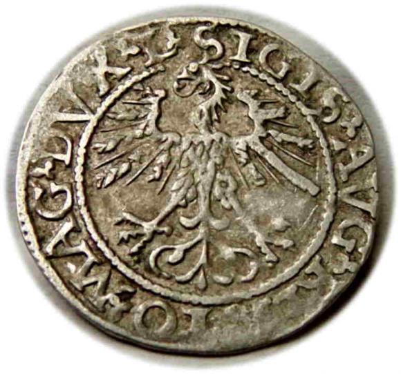 Półgrosz 1562 Zygmunt II August Wilno (2)
