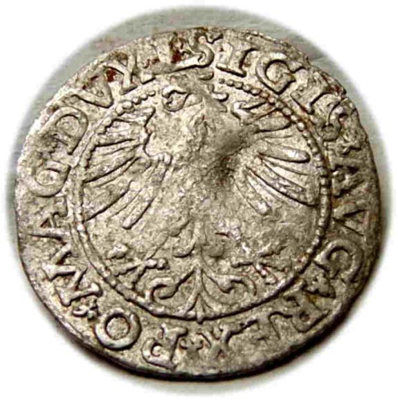 Półgrosz 1563 Zygmunt II August Wilno (2)