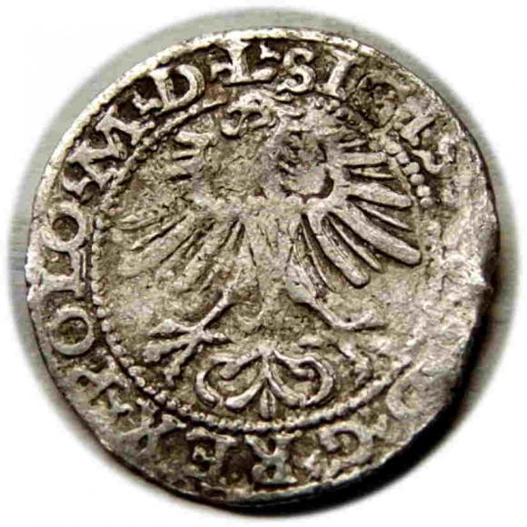 Half groschen 1564 Sigismund II Augustus Vilnius (2)