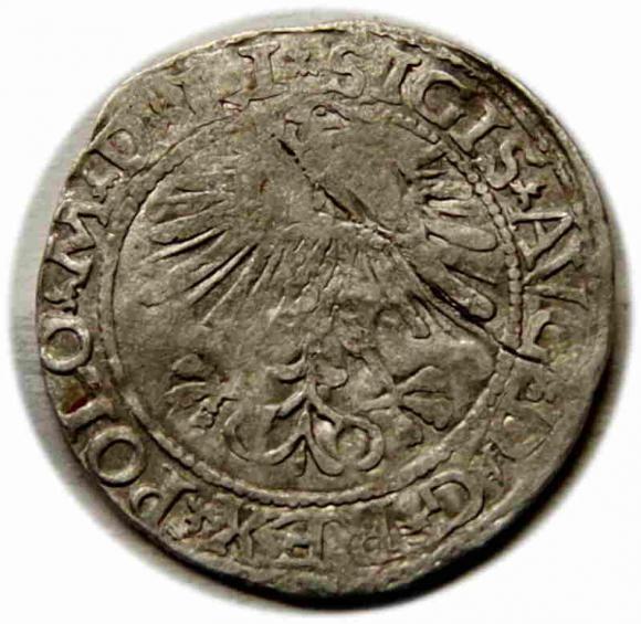 Half groschen 1564 Sigismund II Augustus Vilnius (2)