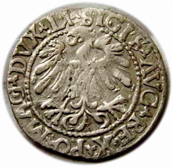 Półgrosz 1559 Zygmunt II August Wilno (2)