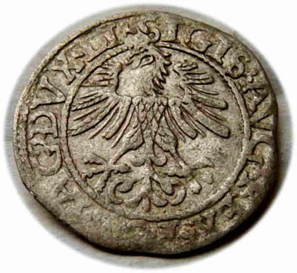 Półgrosz 1562 Zygmunt II August Wilno (2)