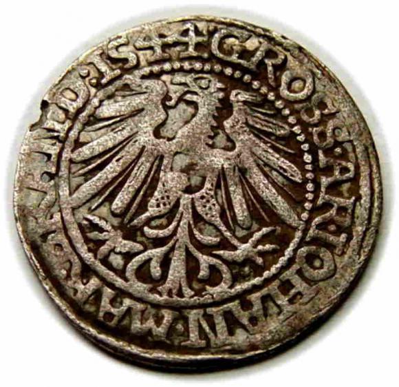 Grosz 1544 Jan Kostrzyński Księstwo Krośnieńskie Krosno (2)