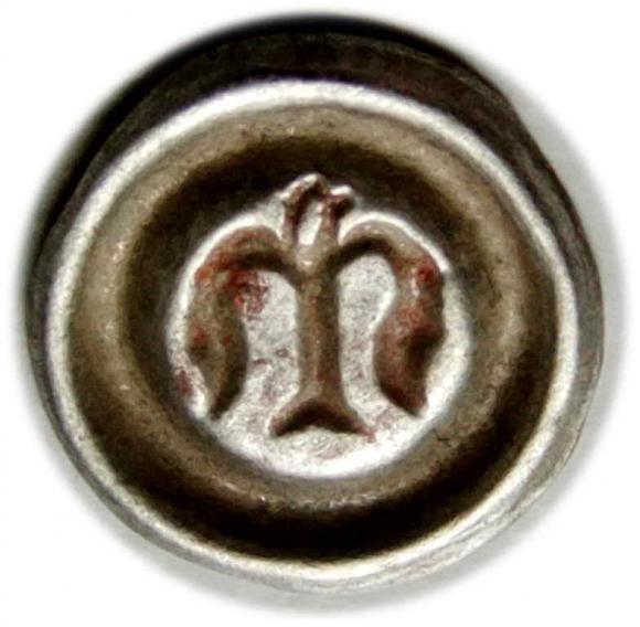 Brakteat Ziębice (2)