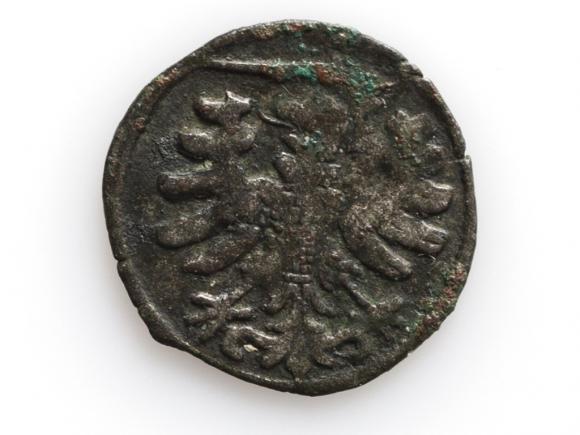 Denar Ziem Pruskich Zygmunt Stary Toruń (2)