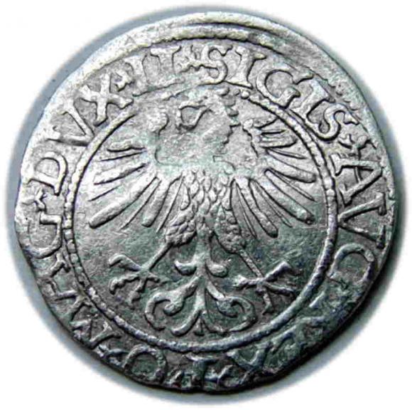 Półgrosz 1561 Zygmunt II August Wilno (2)