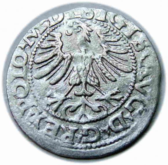 Półgrosz 1565 Zygmunt II August Wilno (2)