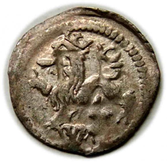 Halerz Ludwik Jagiellończyk Wrocław (2)