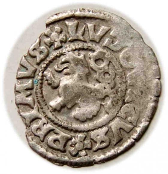 Halerz Ludwik I Jagiellończyk Czechy (1)