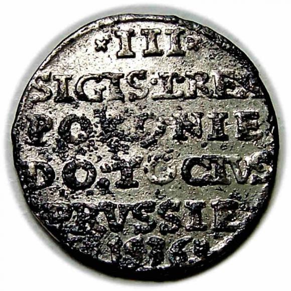 Trojak 1536 Zygmunt I Stary Elbląg (2)