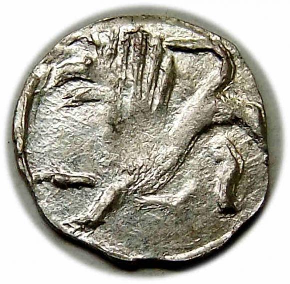 Halerz Świdnica Dzik Zygmunt Luksemburczyk (2)