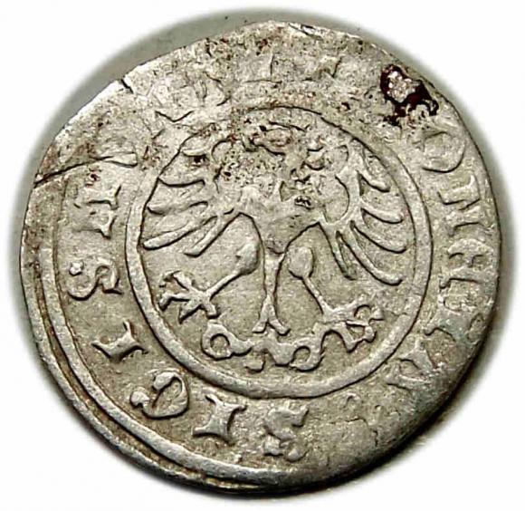 Półgrosz 1510 Zygmunt I Stary Kraków (2)