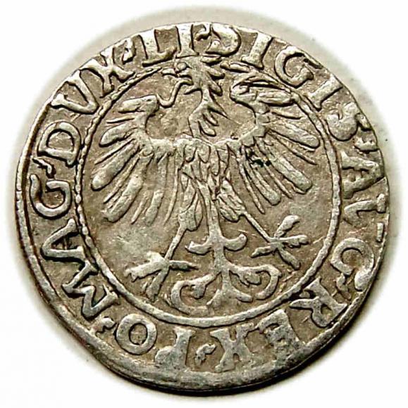 Półgrosz 1557 Zygmunt II August Wilno