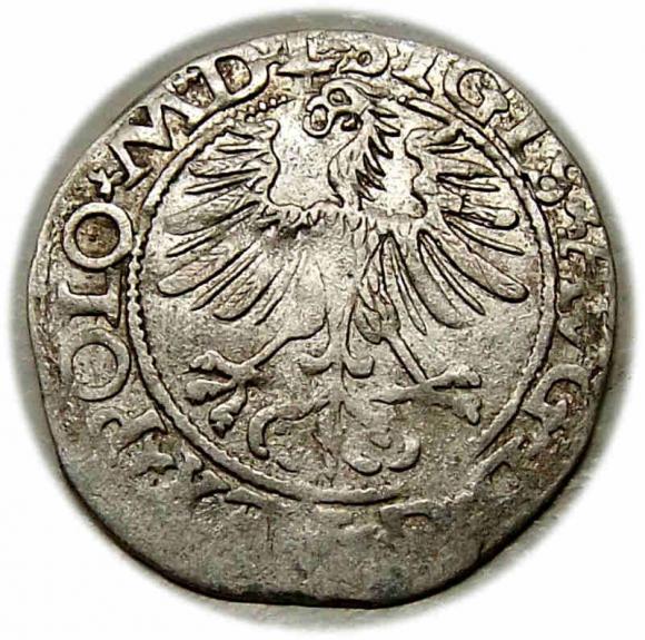 Półgrosz 1565 Zygmunt II August Wilno (2)