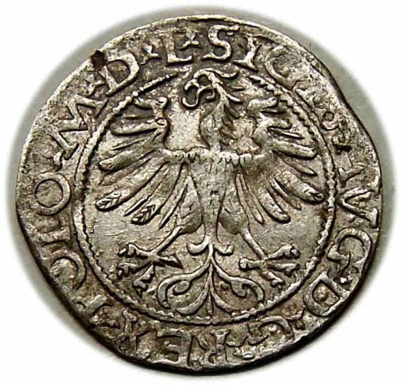 Półgrosz 1565 Zygmunt II August Wilno (2)