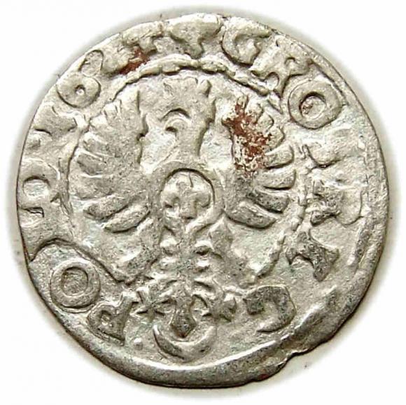 Groschen 1624 Sigismund III Vasa Bydgoszcz (2)