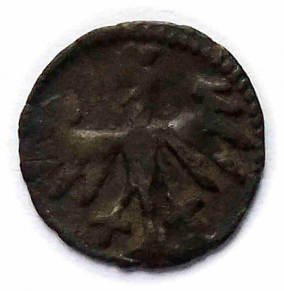 Denar Jan Olbracht Kraków (2)