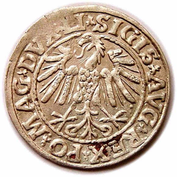 Half groschen 1547 Sigismund II Augustus Vilnius (2)