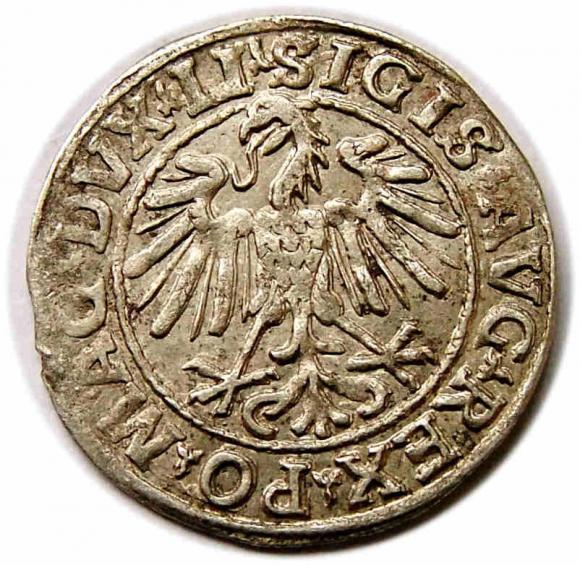 Half groschen 1548 Sigismund II Augustus Vilnius (2)