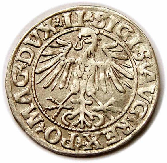 Półgrosz 1549 Zygmunt II August Wilno (2)