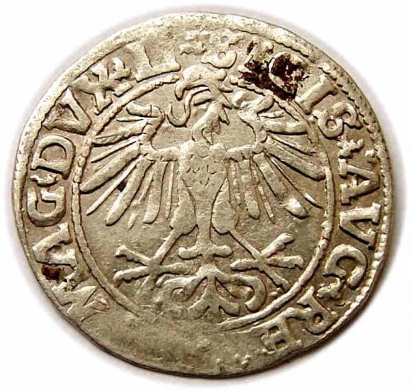 Half groschen 1550 Sigismund II Augustus Vilnius (2)