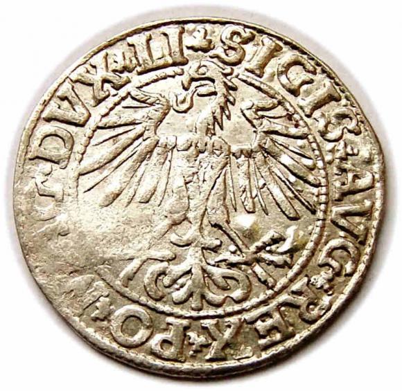 Half groschen 1550 Sigismund II Augustus Vilnius (2)