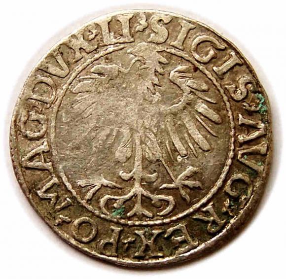 Half groschen 1557 Sigismund II Augustus Vilnius (2)