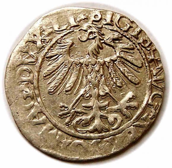 Half groschen 1558 Sigismund II Augustus Vilnius