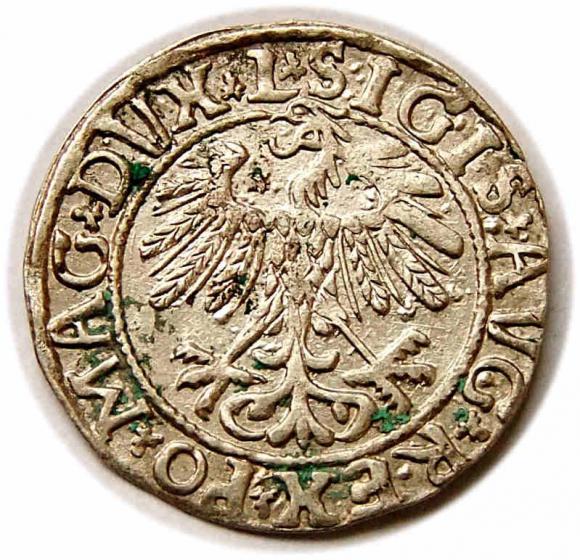 Half groschen 1558 Sigismund II Augustus Vilnius (2)